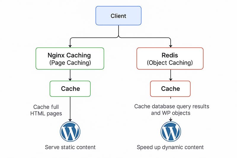 Flowchart showing the differences between Nginx page caching and Redis object caching for WordPress. Nginx serves static HTML, while Redis caches database queries and objects.