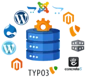 Hosting Websites - CMS Icons around a server